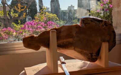 Oubliez les PDG obèses : voici mon régime