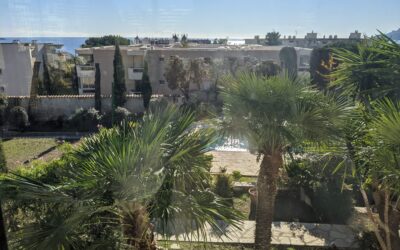 Au Carlton, j’ai compris une chose : le vrai luxe n’a pas de dorures