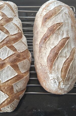 Pain bio au levain à la farine de blé truffier