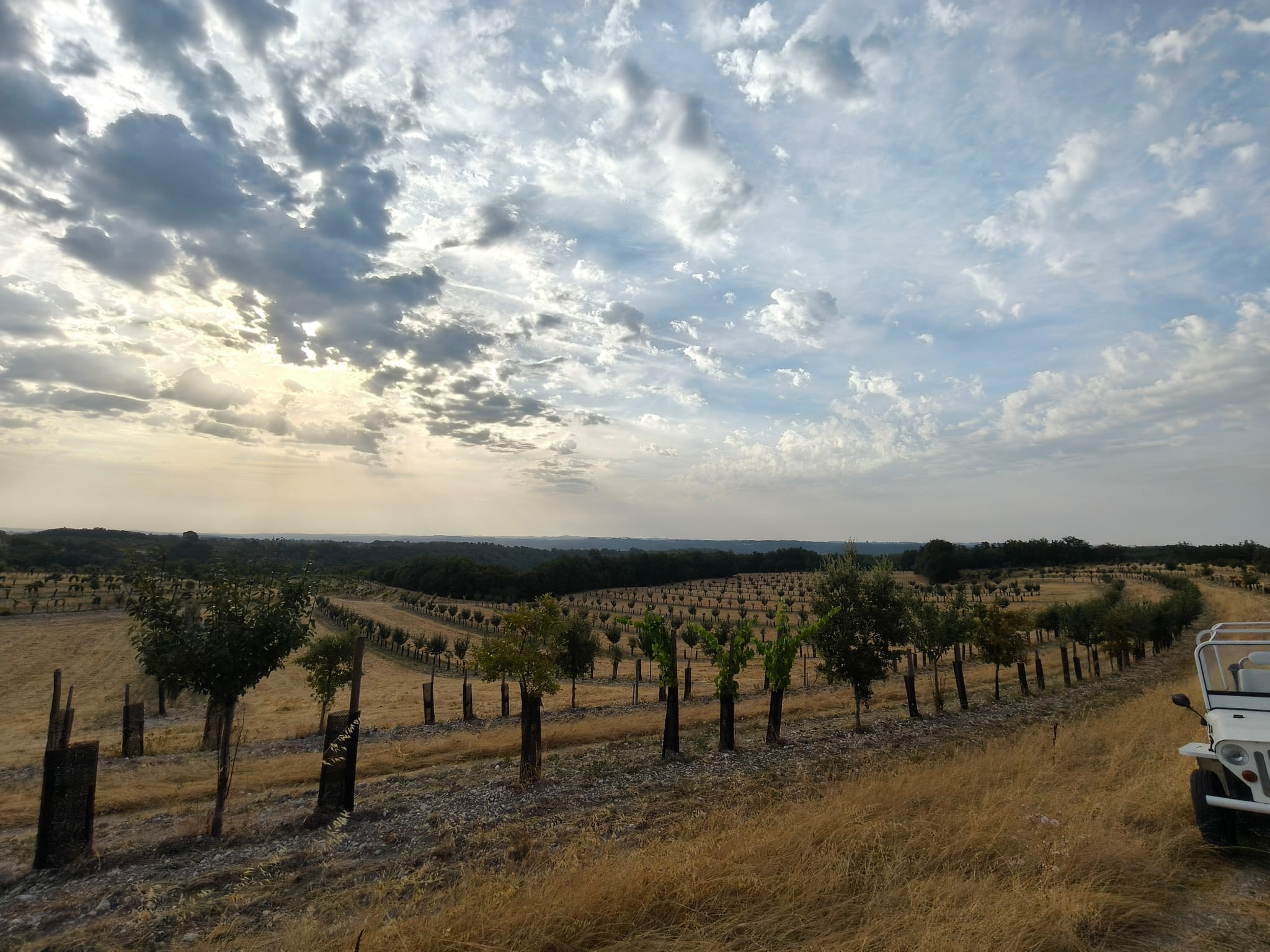 La fumée de Gironde est arrivée jusqu'à nous